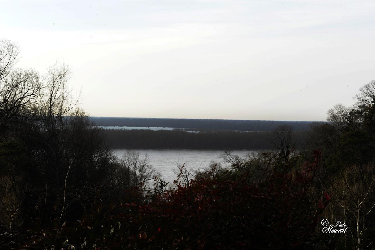 Clermont Bluffs Bed & Breakfast Natchez Zewnętrze zdjęcie