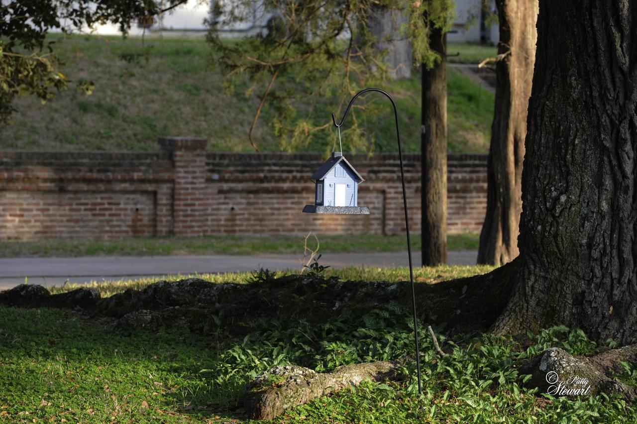 Clermont Bluffs Bed & Breakfast Natchez Zewnętrze zdjęcie