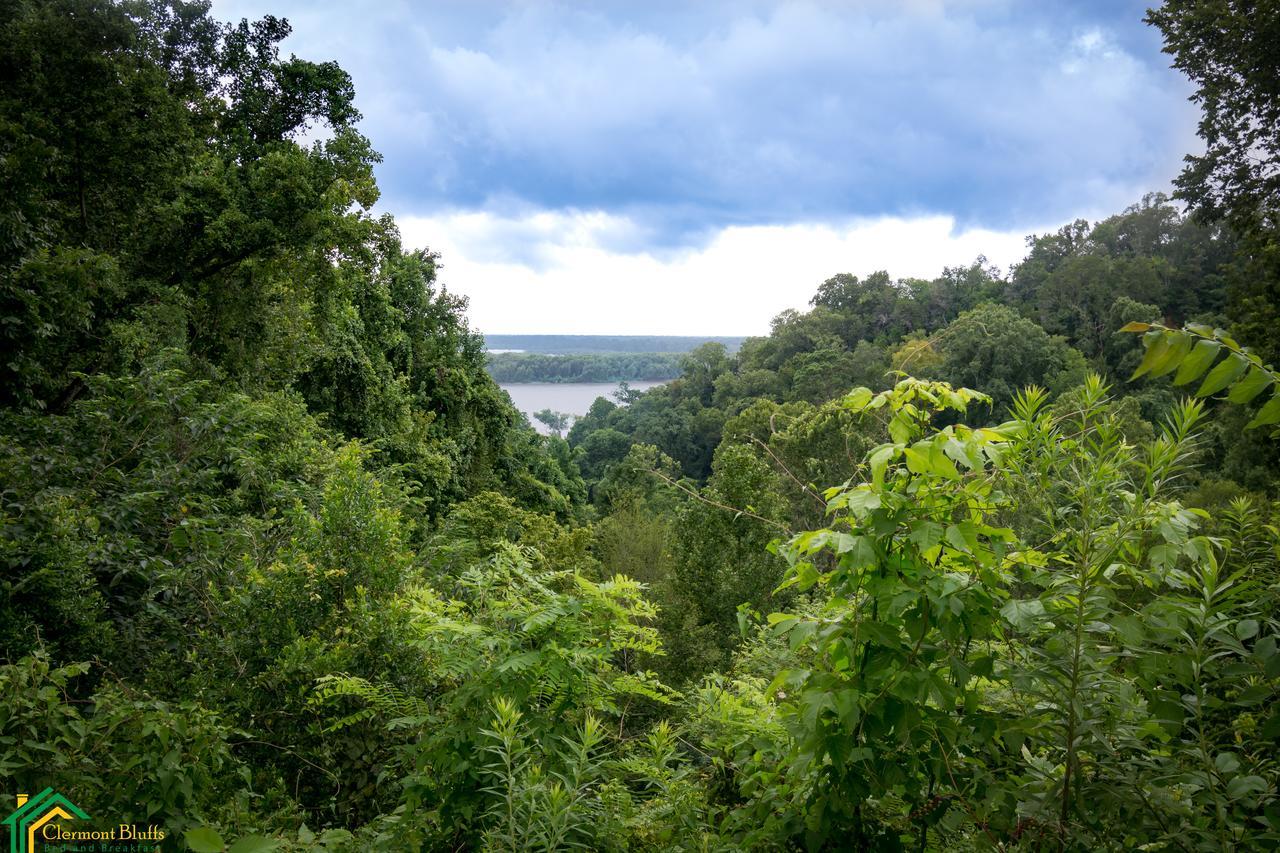 Clermont Bluffs Bed & Breakfast Natchez Zewnętrze zdjęcie